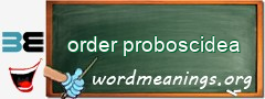 WordMeaning blackboard for order proboscidea